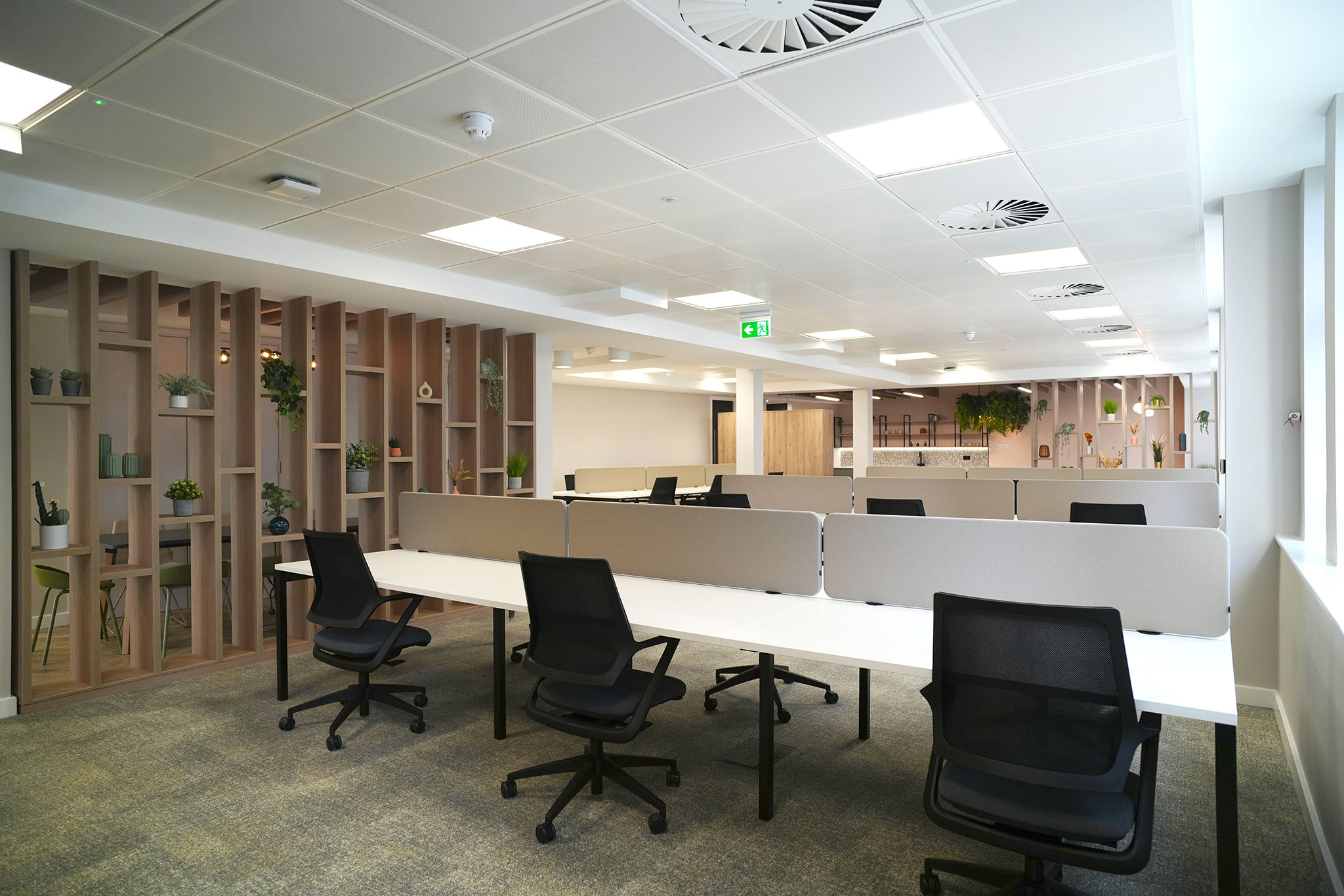 Alpha House Case Study